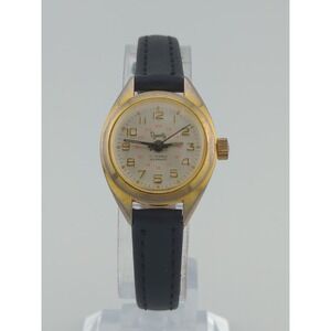 Vintage Dynasty 17 Jewels Incabloc‎ Gold Tone Mechanical Watch Working - Swiss
